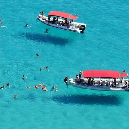 Mirrow Tropea